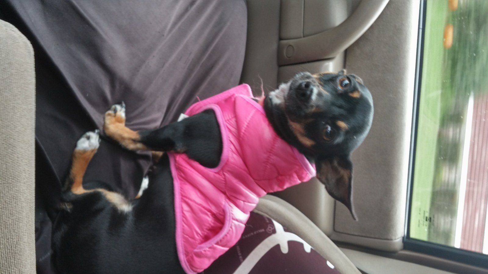 Riding Shotgun