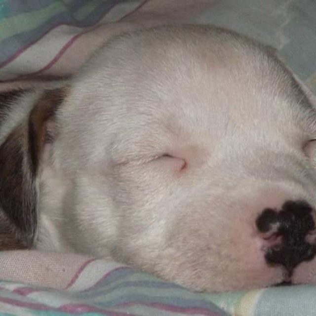 He Was So Little!