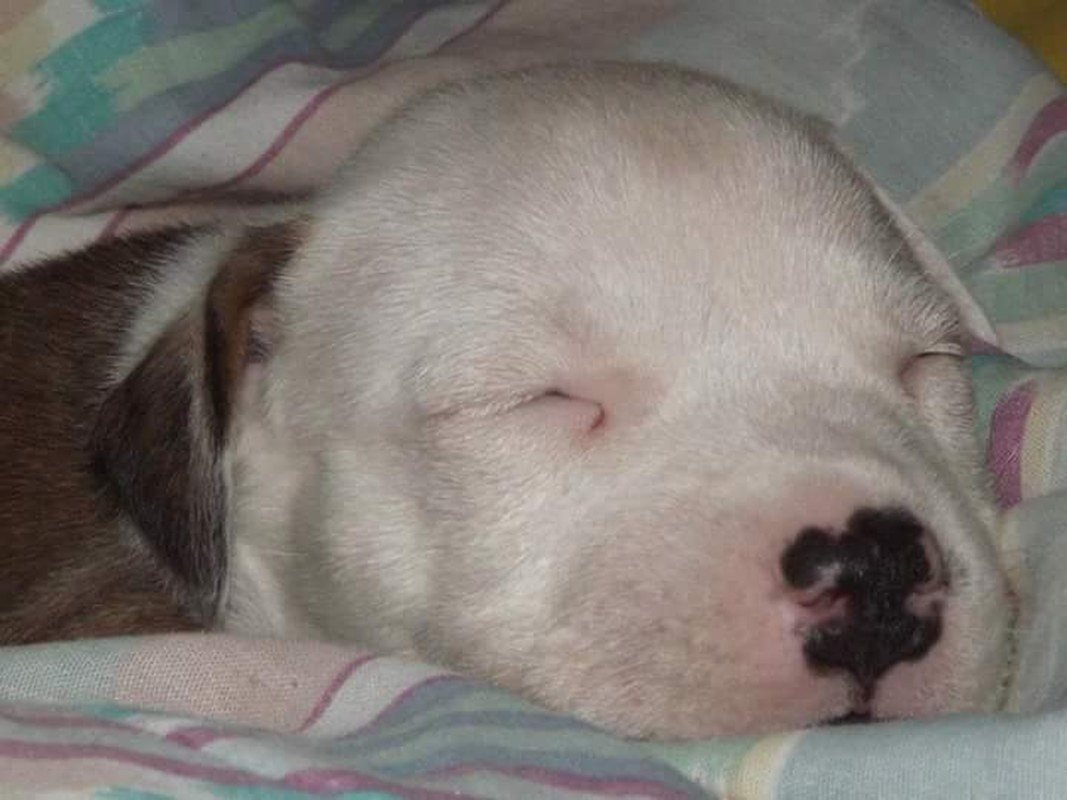 He Was So Little!
