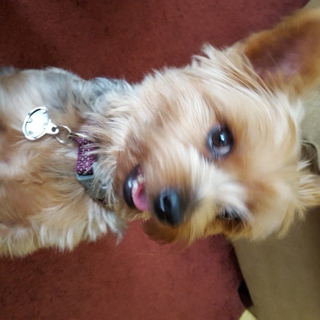 Bently