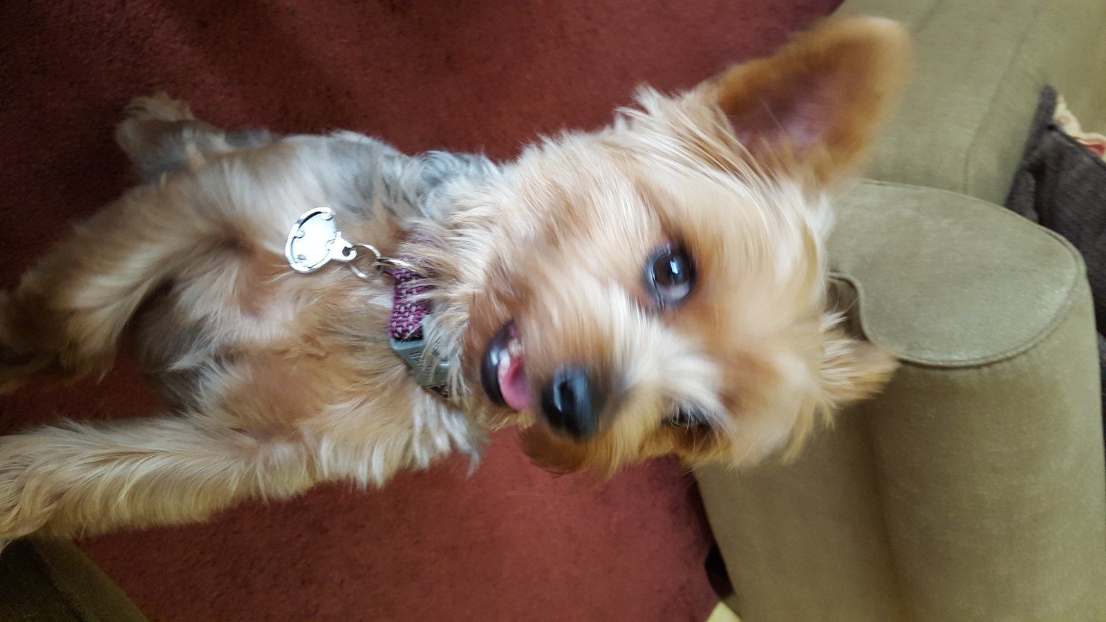 Bently