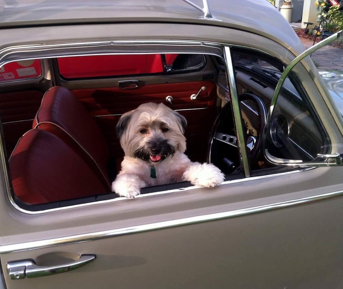 Rico Inside Right Hand Drive VW Beetle
