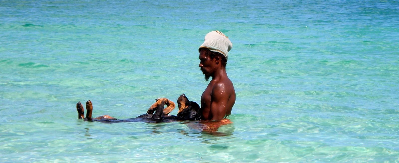 Dogs