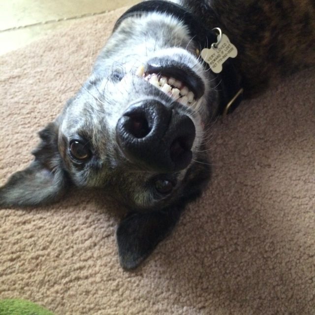 Goofy Girl