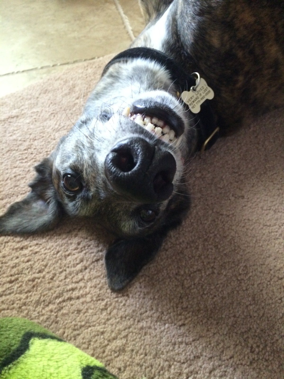 Goofy Girl