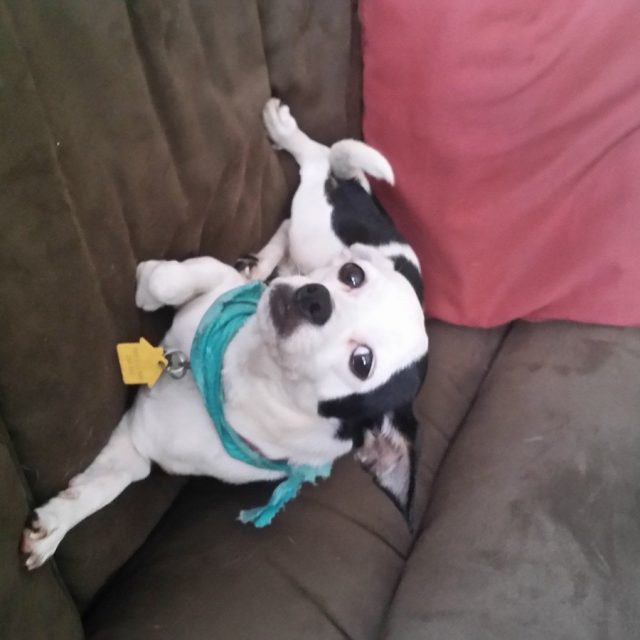CHLOE
