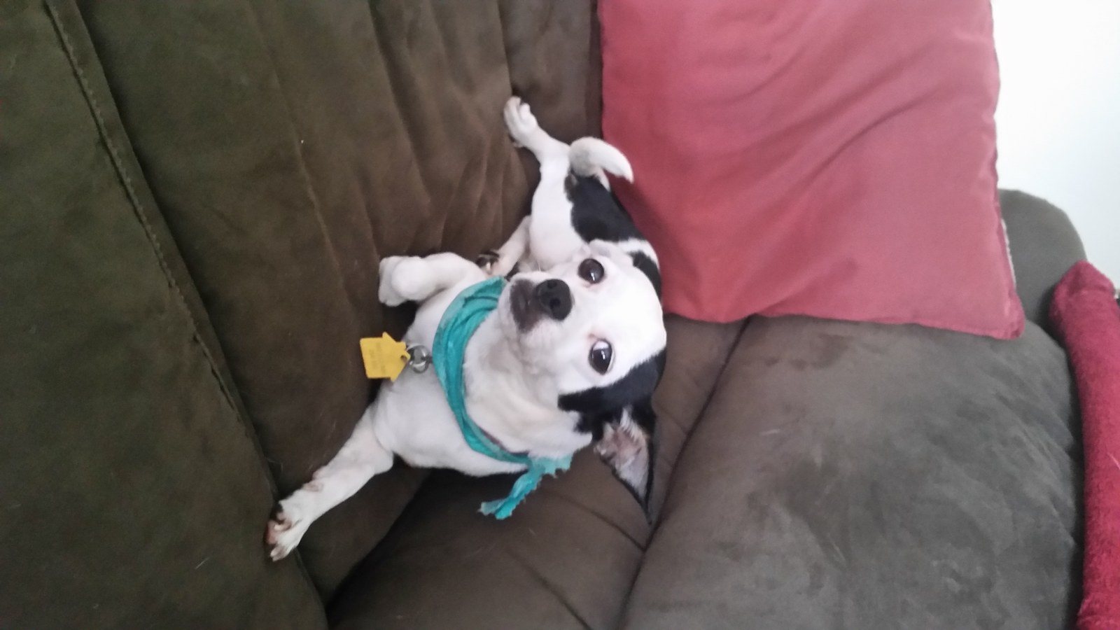 CHLOE