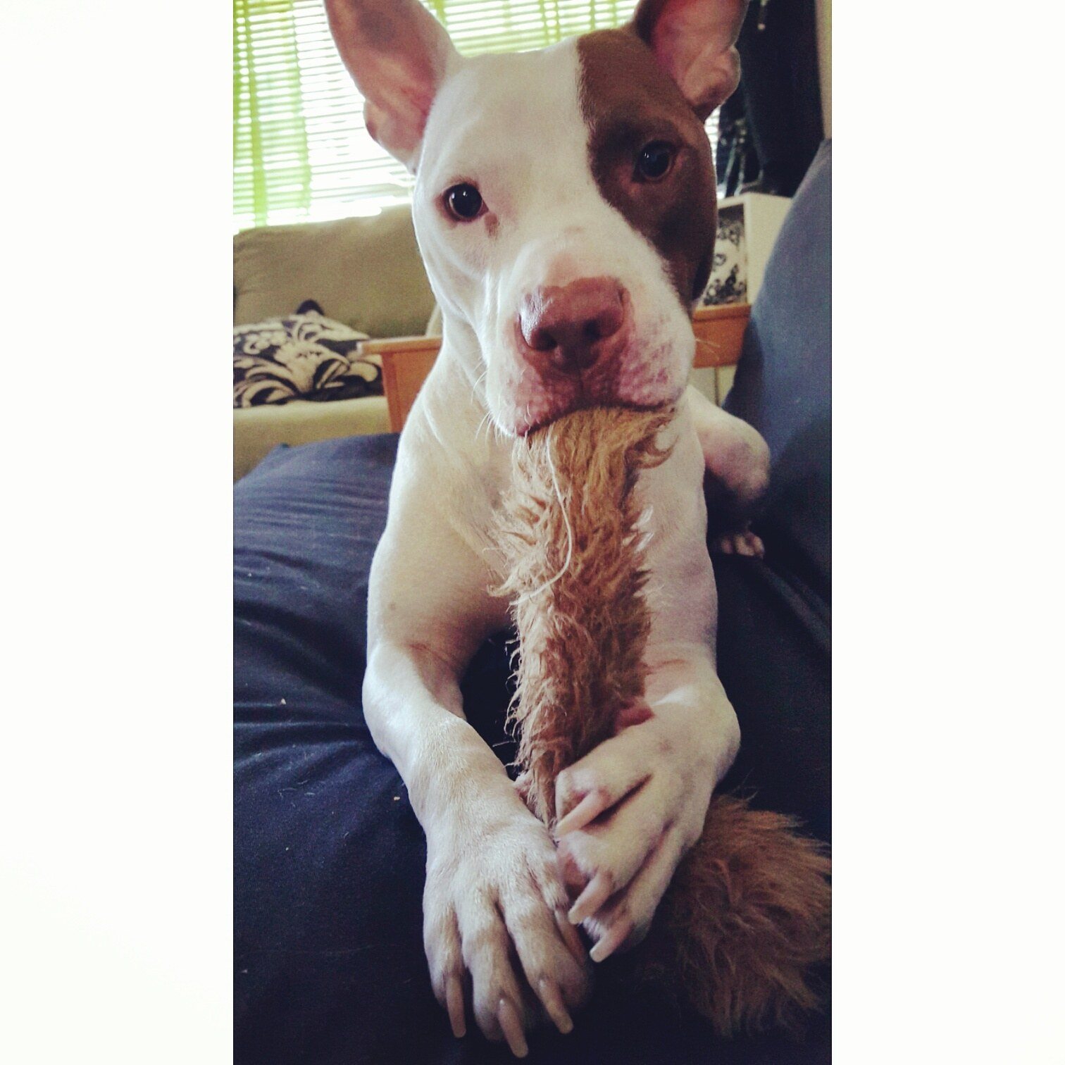 Just A Boy And His Favorite Toy..well, What's Left Of It.