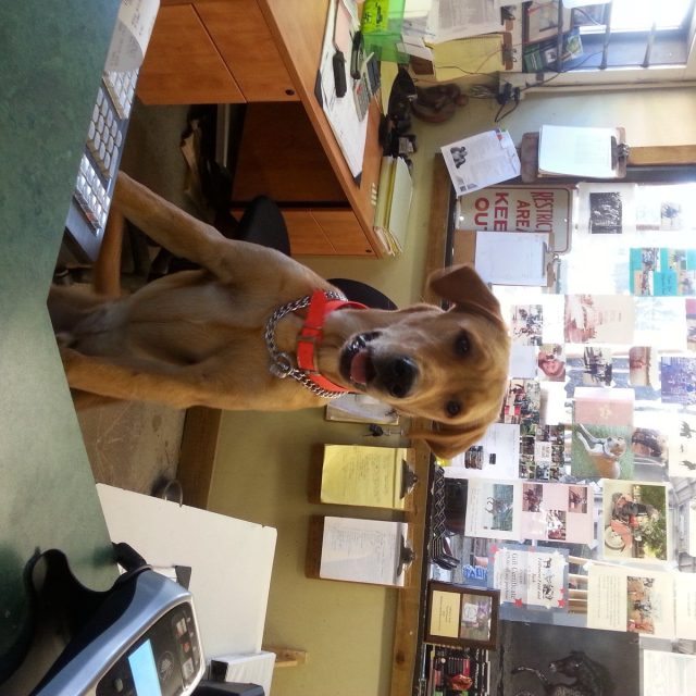 Bones? Yes We Carry Bones....