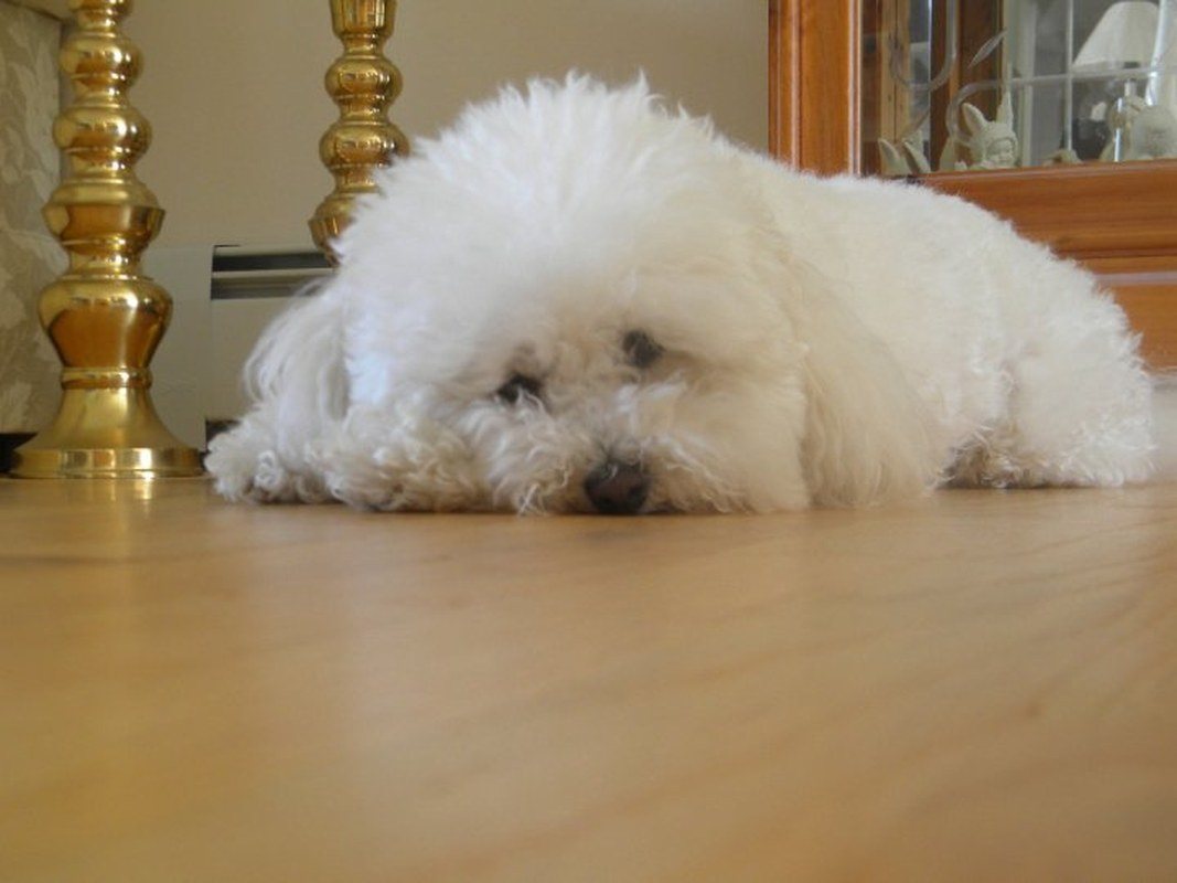 I'm Feeling Lazy