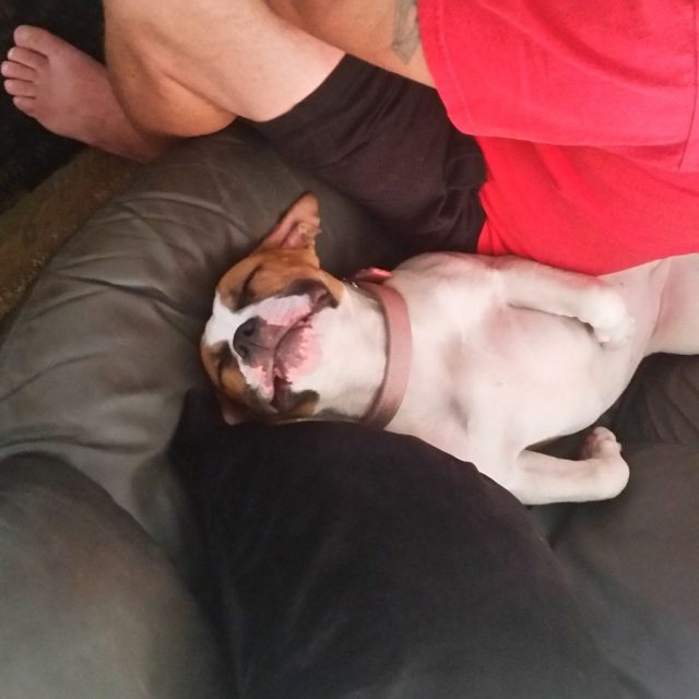 Nap Time