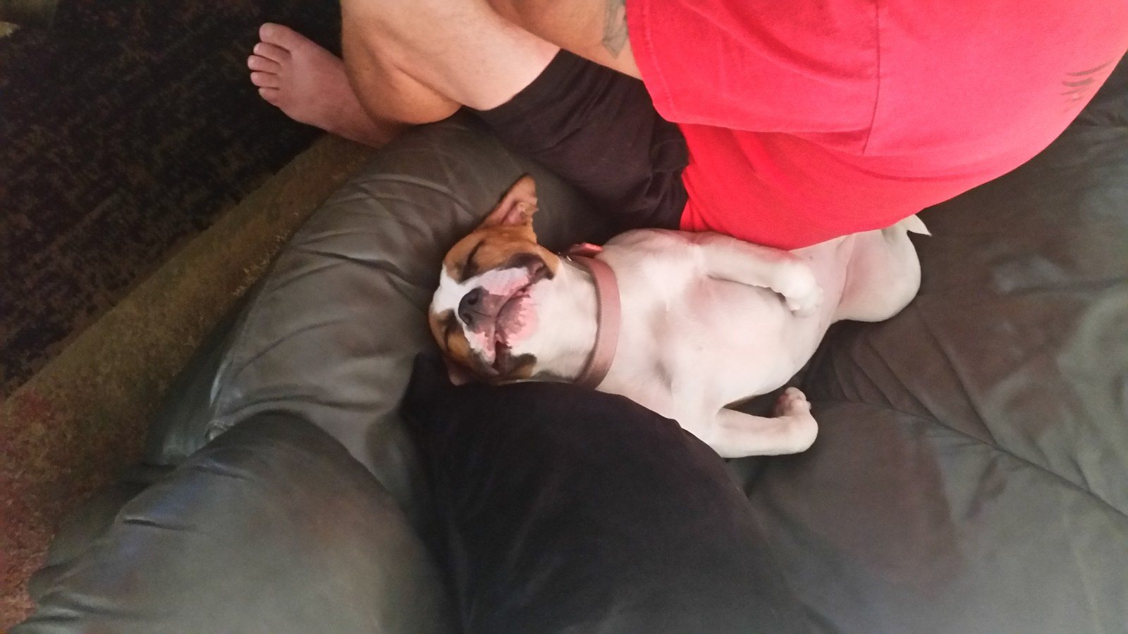 Nap Time