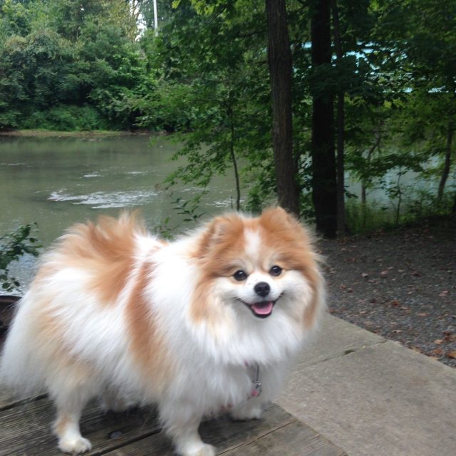Lola