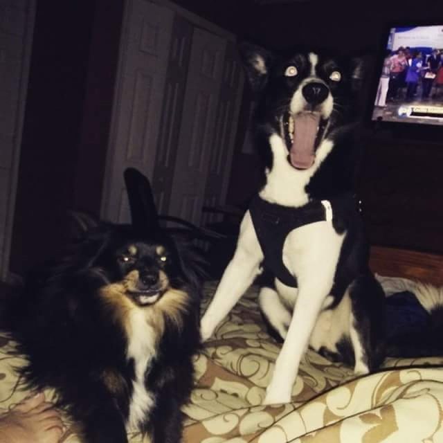 Max Y Bella