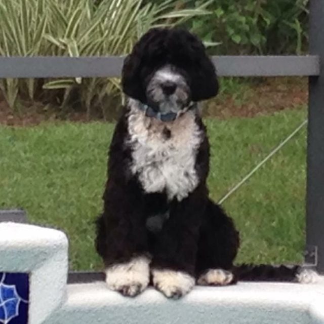 Coco Chanel