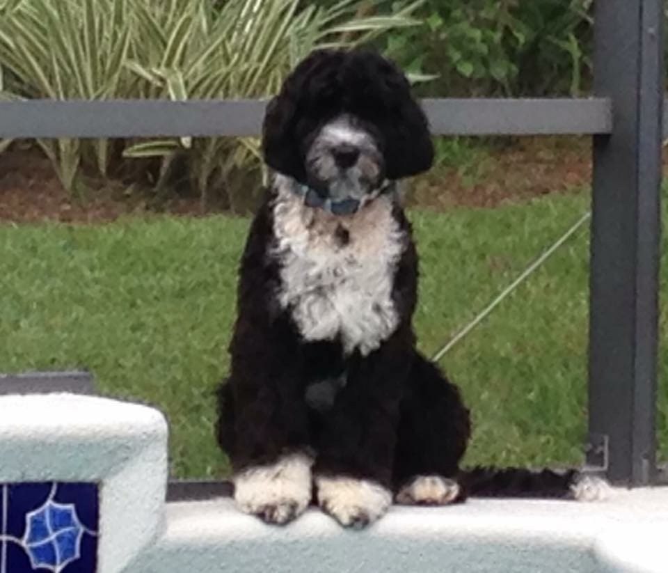 Coco Chanel