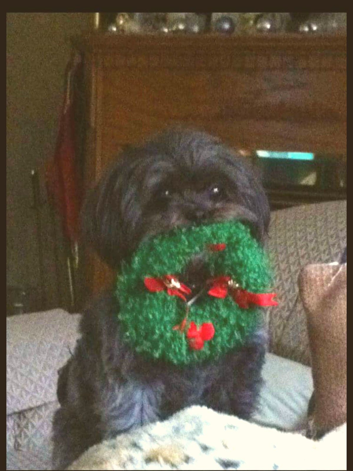 Can I Wear This Now?
