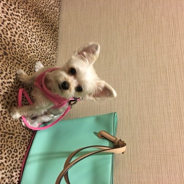 Shopping With Mom