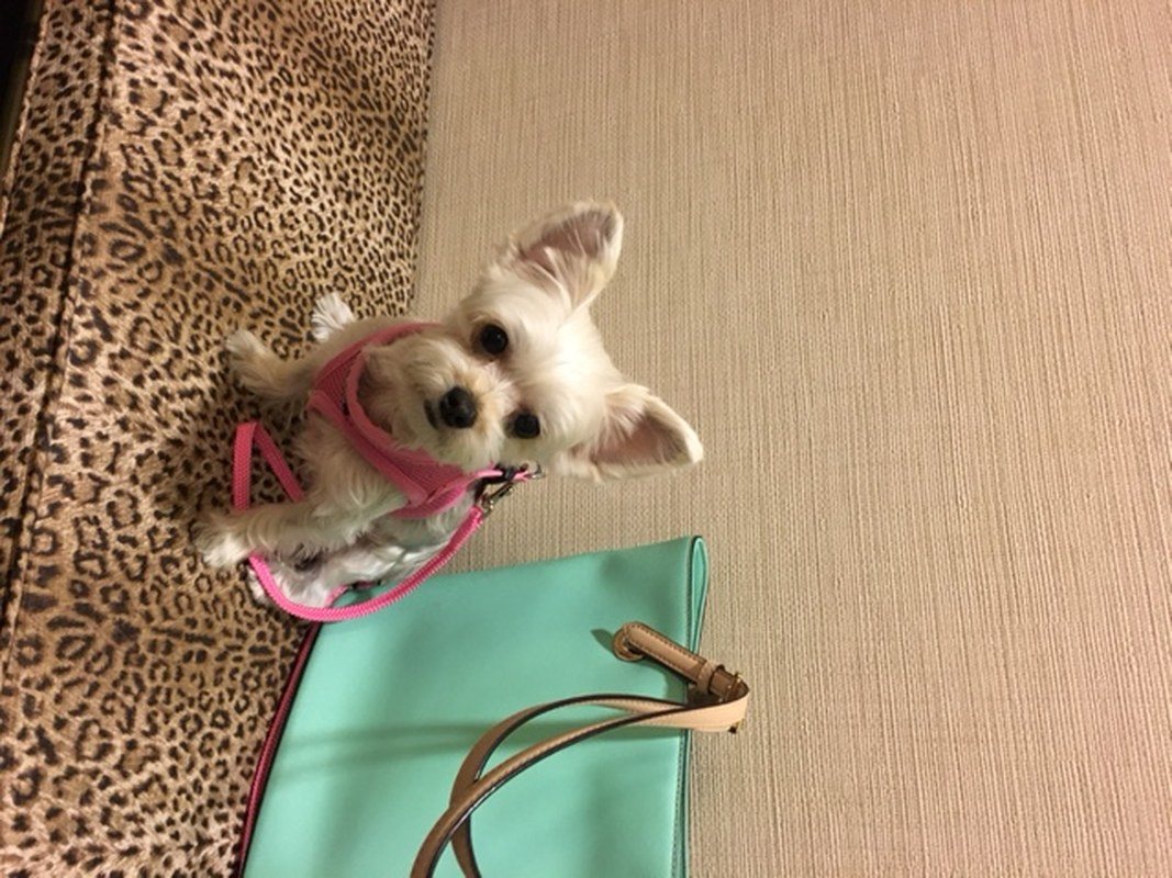 Shopping With Mom