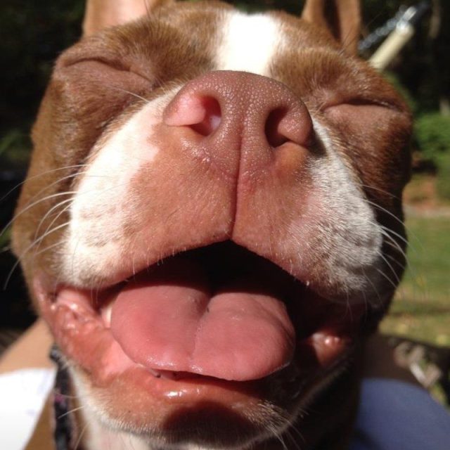 Loving Life!