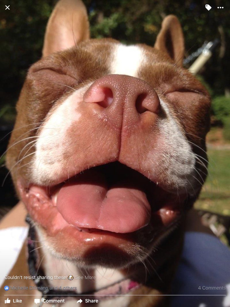 Loving Life!