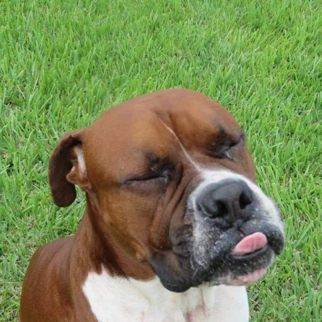 Best Face Ever