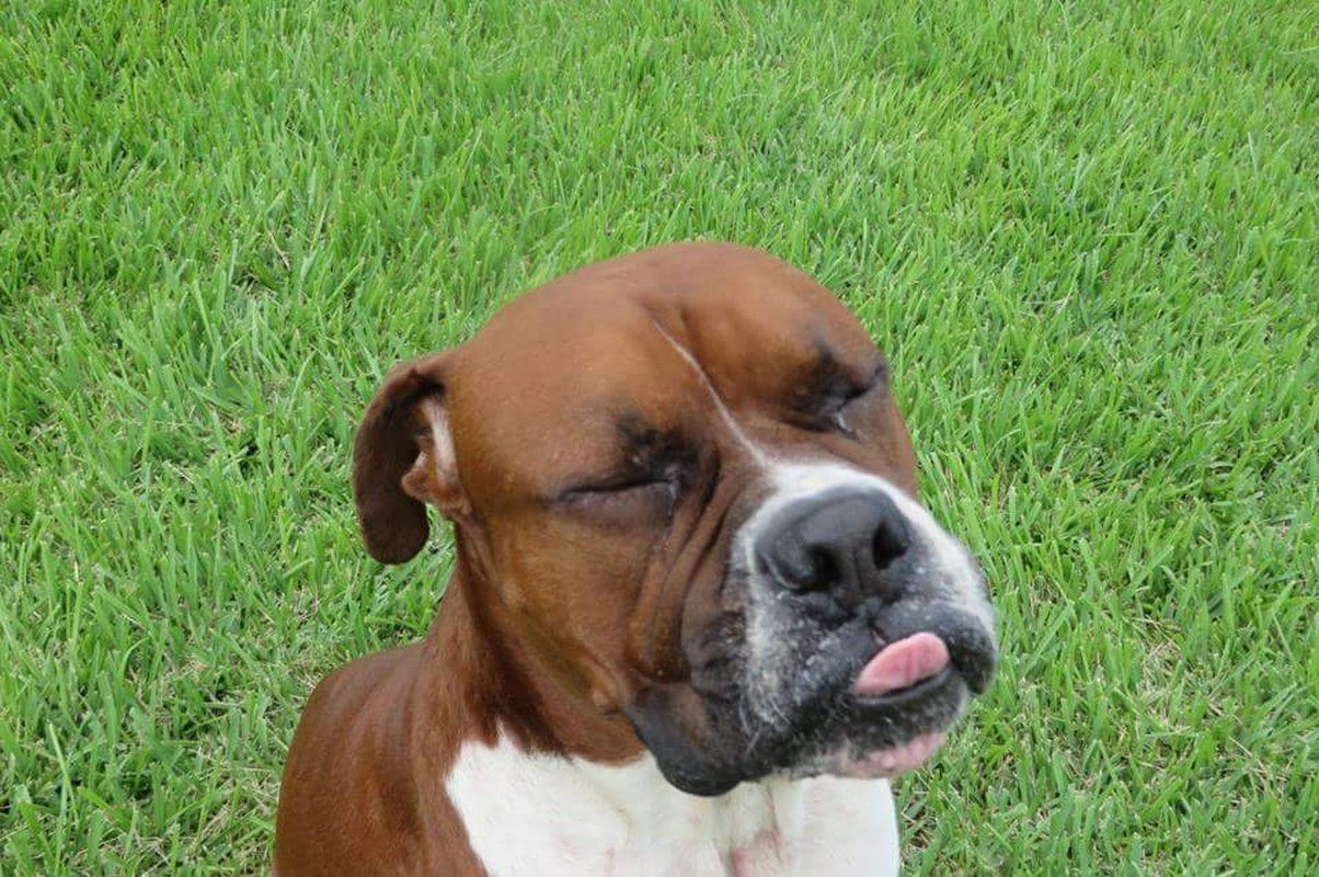 Best Face Ever
