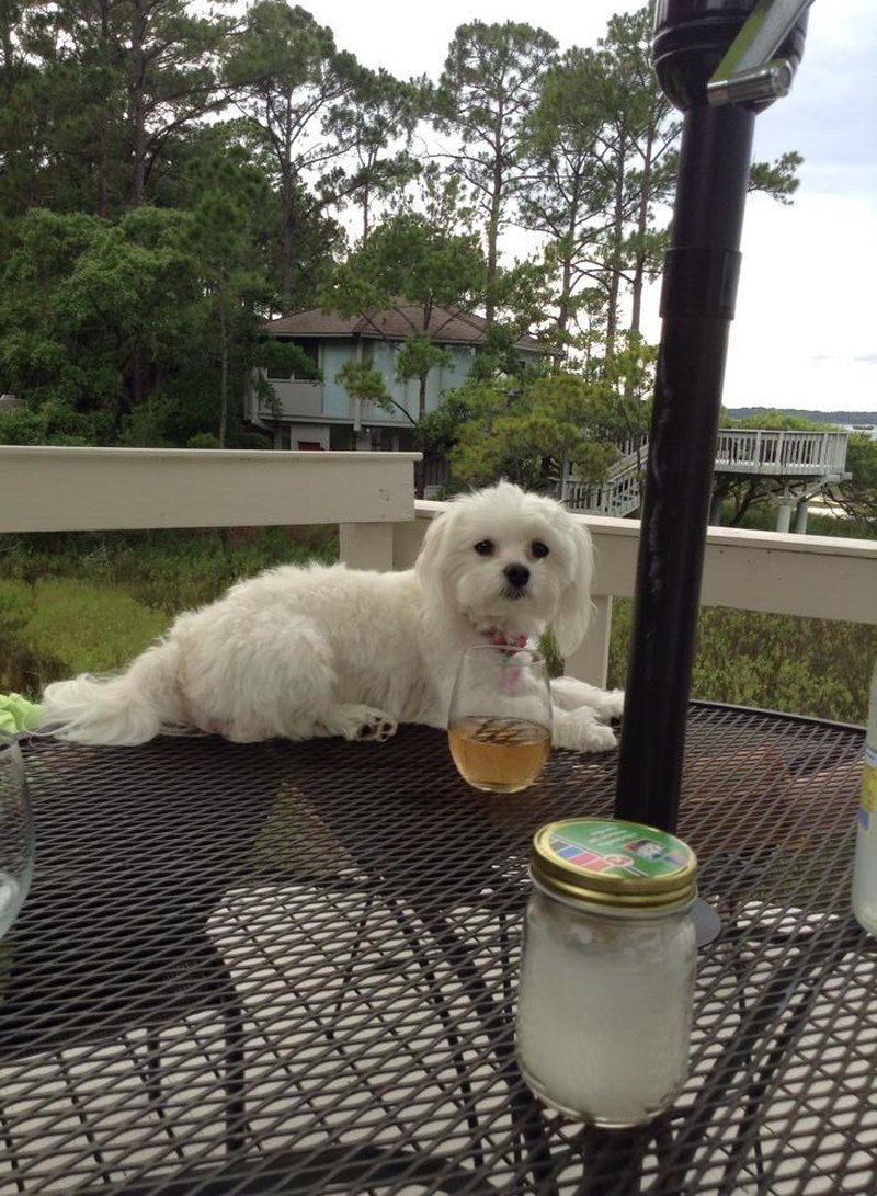 Enjoying A Glass Of Champagne