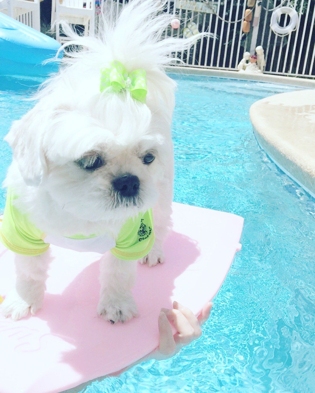 Surfing Sophie