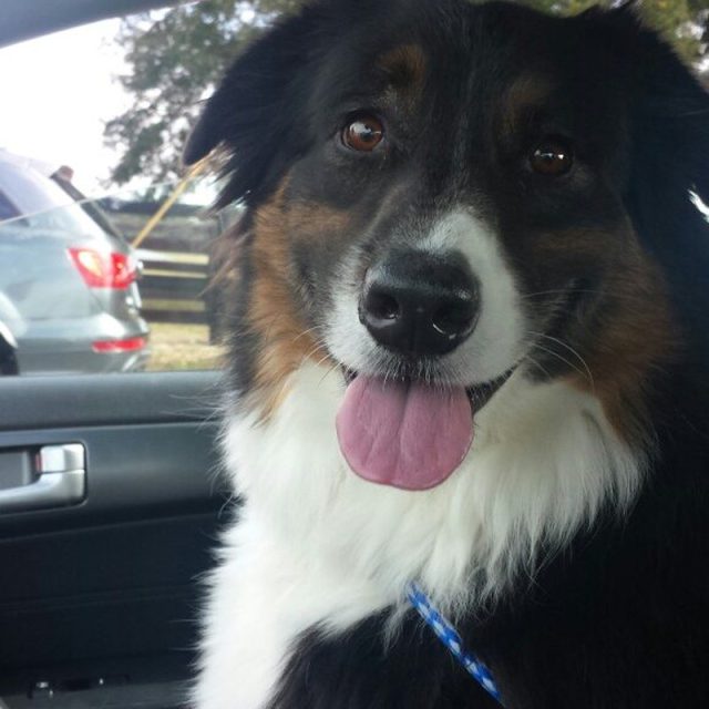 Going For A Ride