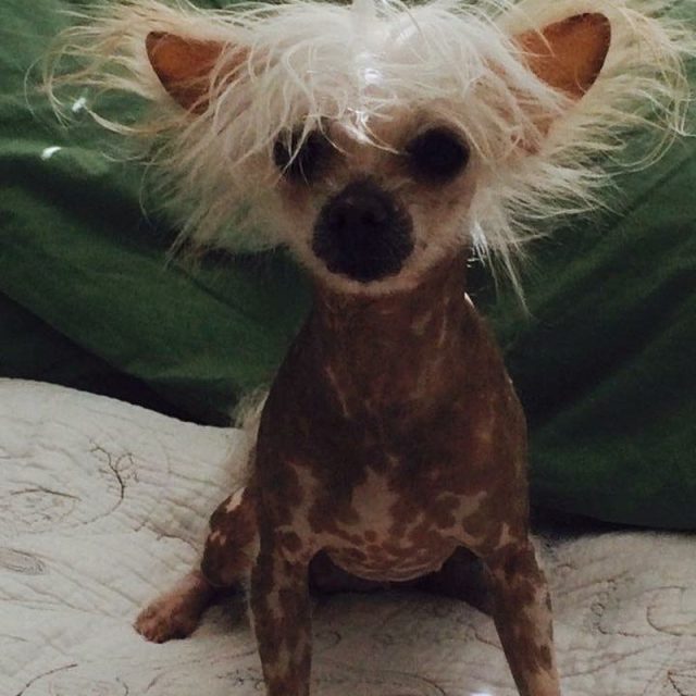 LuLu Took A Bath