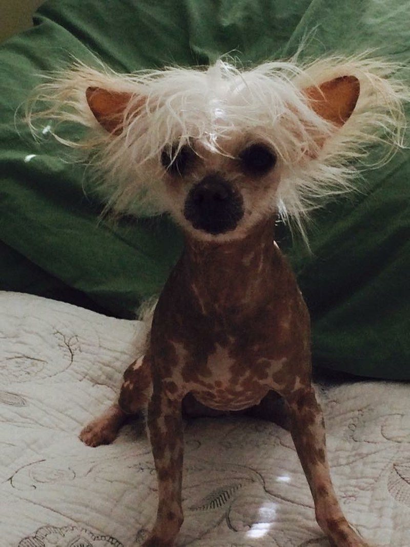 LuLu Took A Bath