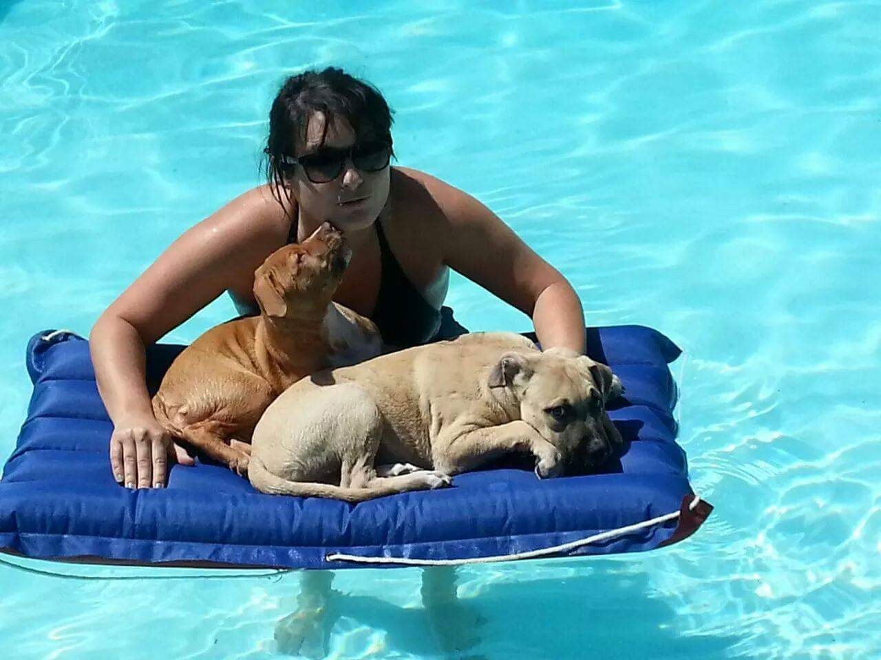 Pool Time