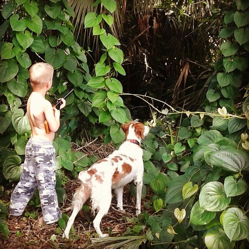 Squirrel Hunter