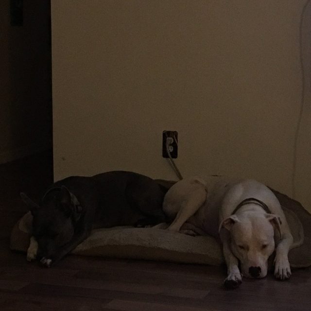 Sharing A Bed. 😜