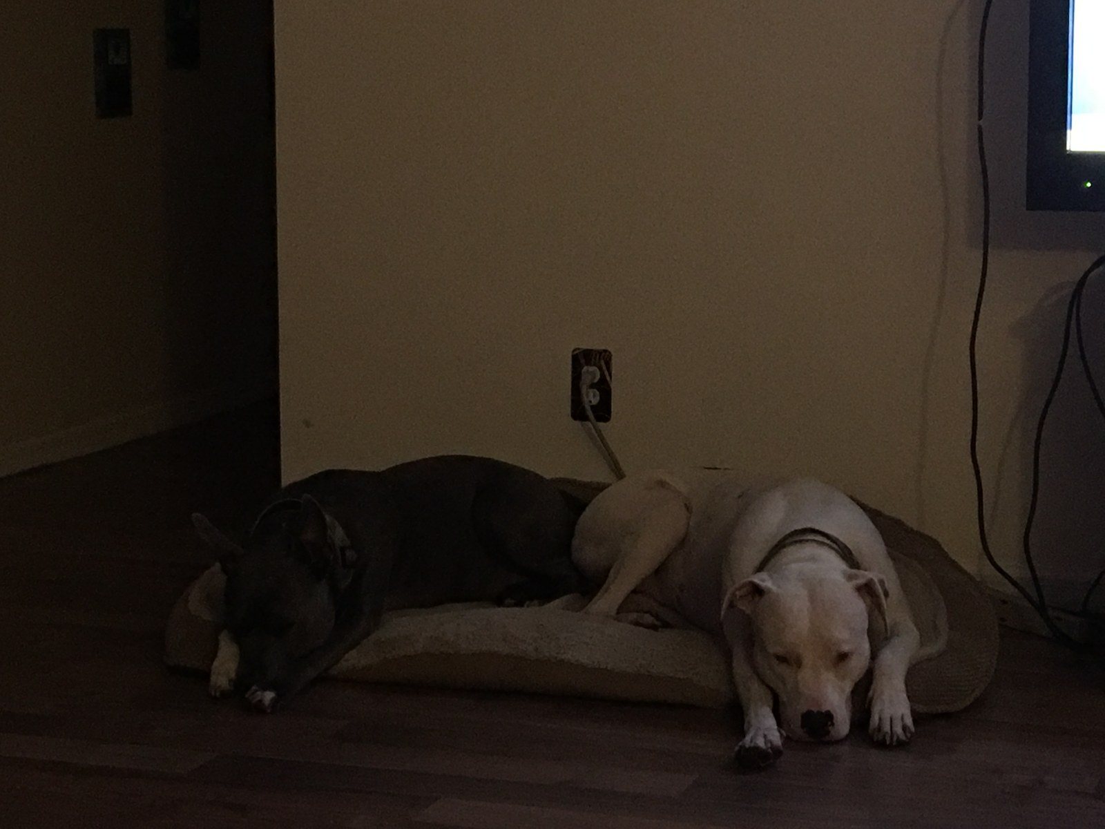 Sharing A Bed. 😜