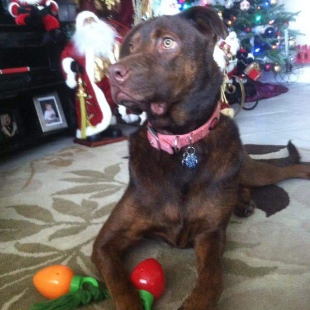 Santa?