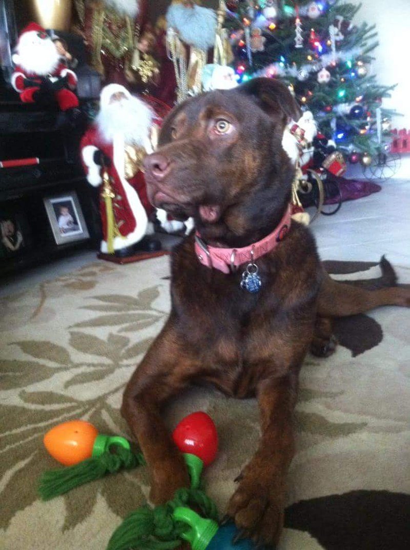Santa?