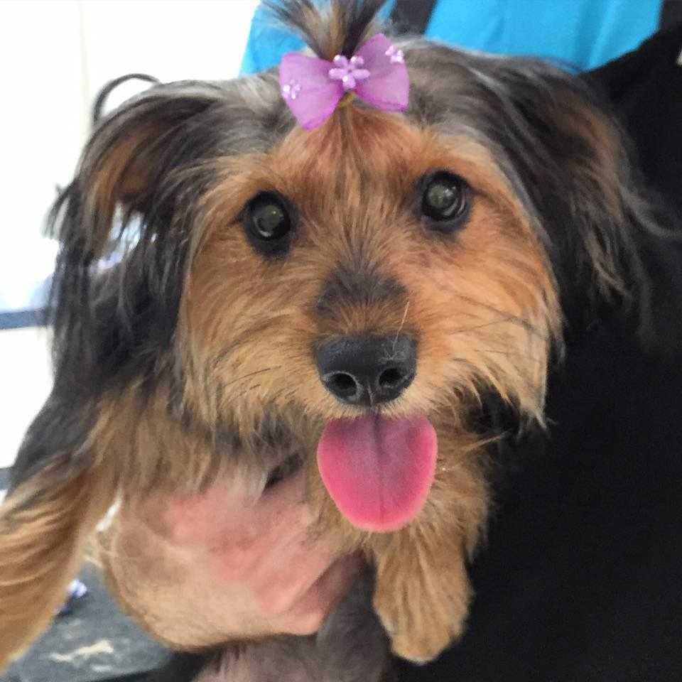 Happy Spa Day!