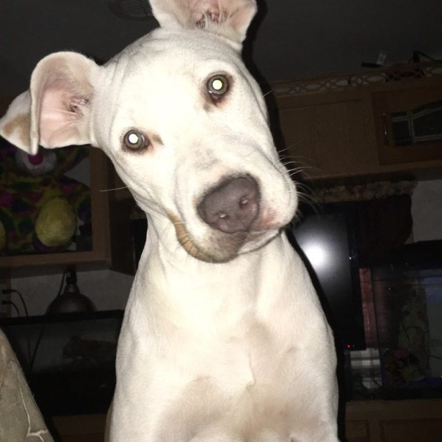 Come On Mommy Get Out Of Bed