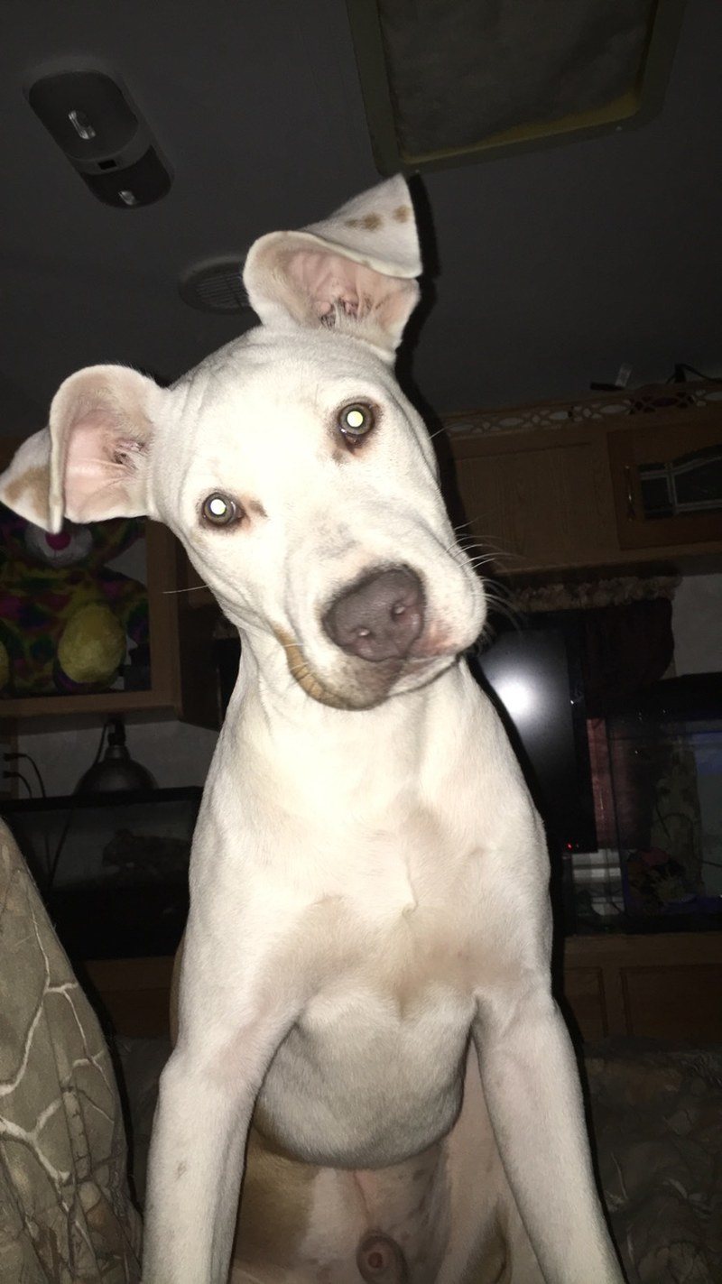 Come On Mommy Get Out Of Bed