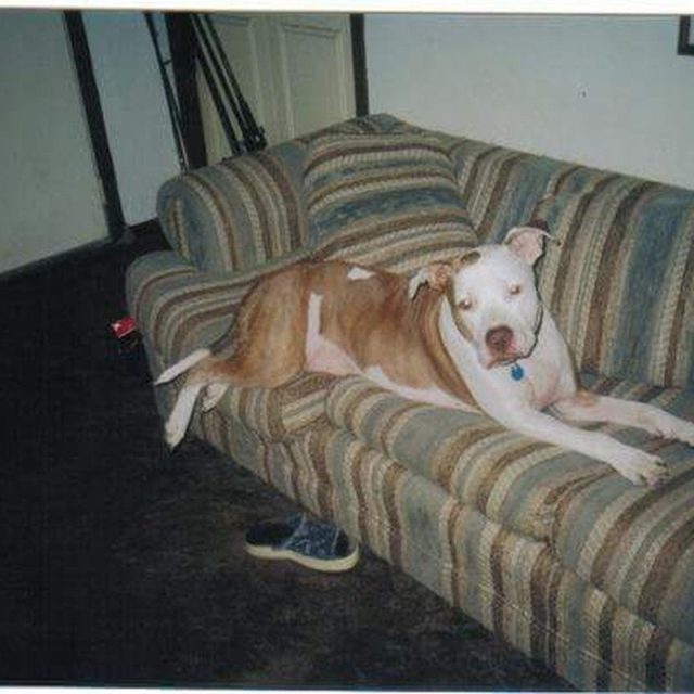 Favorite Picture! No Longer With Us..rip