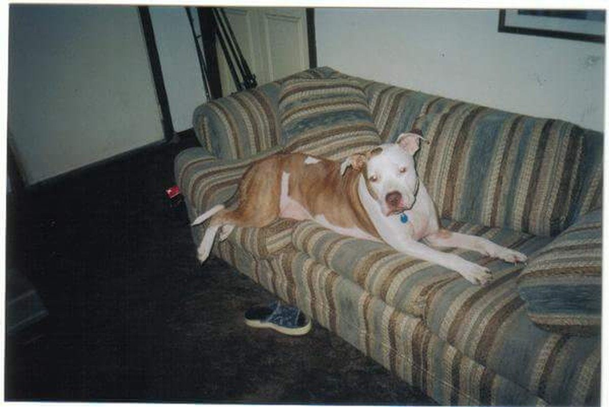 Favorite Picture! No Longer With Us..rip