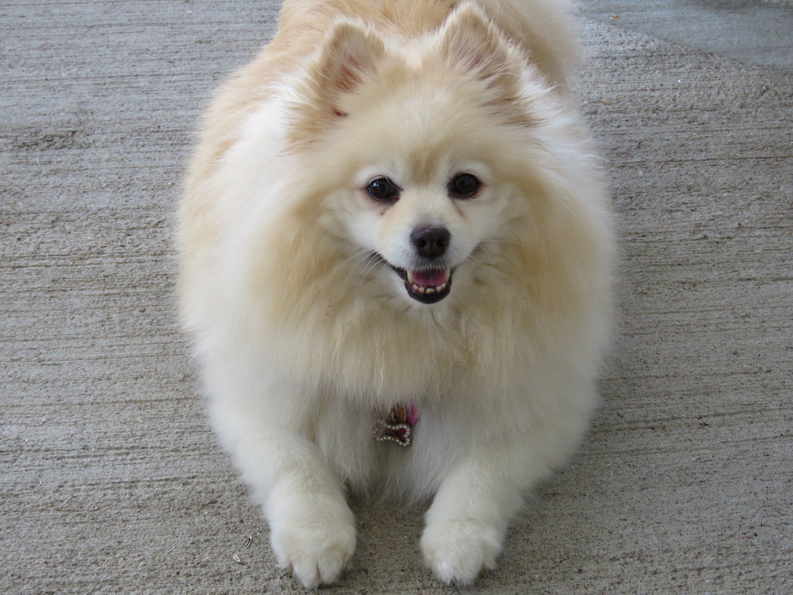 Taffy From Texas
