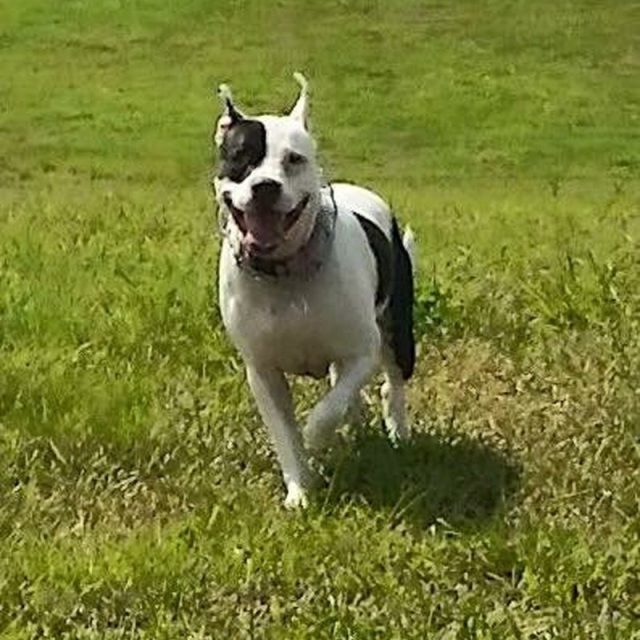 Loves The Outdoors