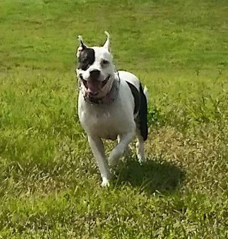 Loves The Outdoors