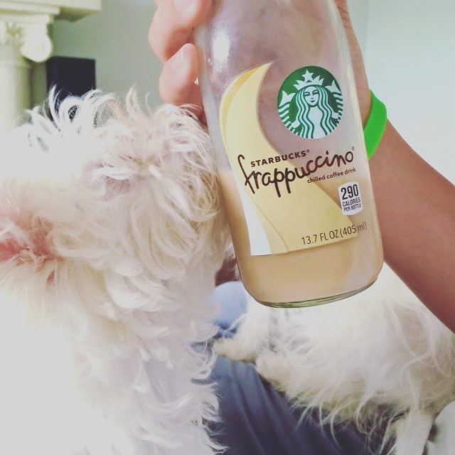 Who Doesnt Love Starbucks