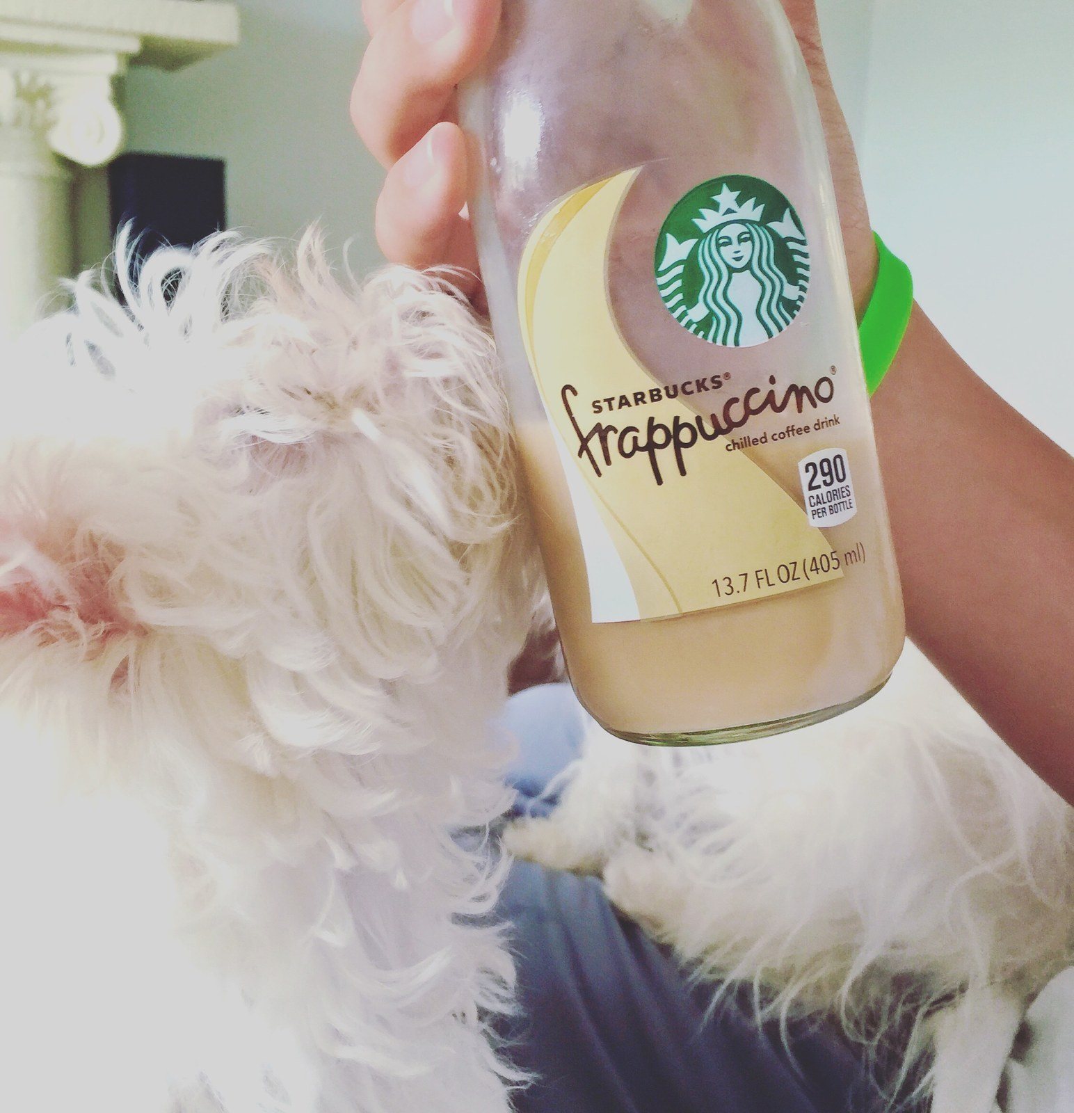 Who Doesnt Love Starbucks