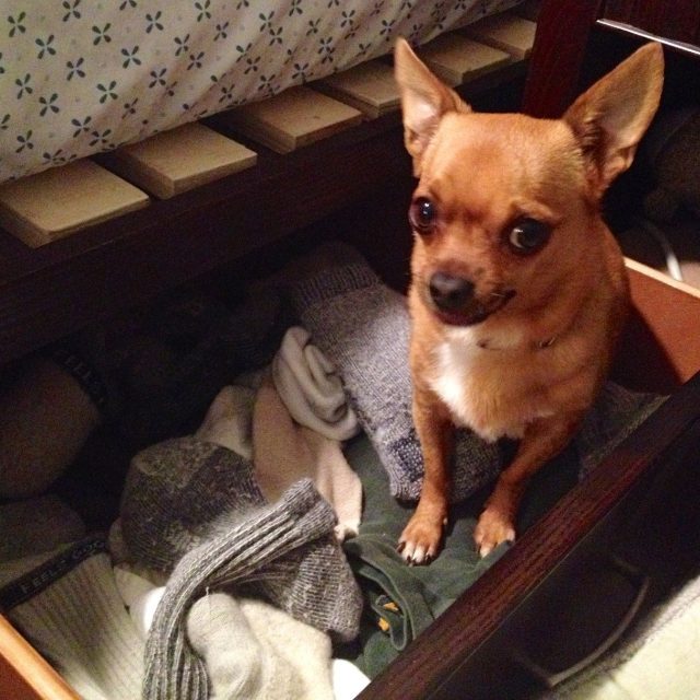 Helping Dad Find His Socks