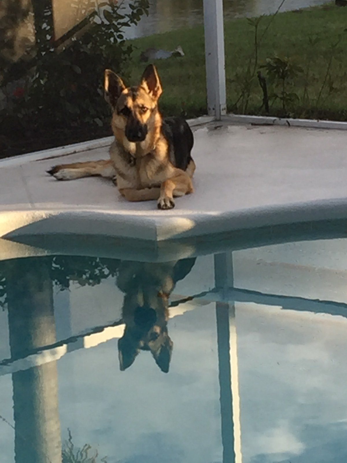 Pax At The Pool